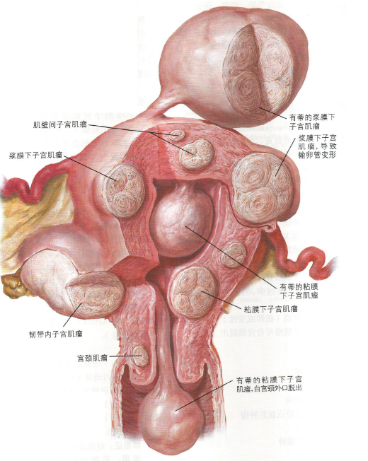 娱乐生活 第60页