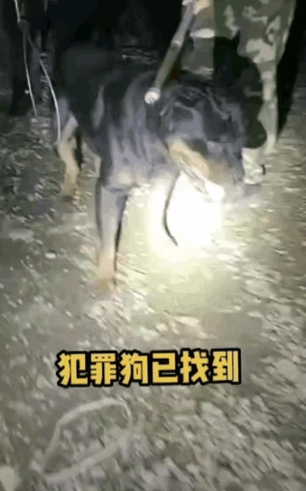 娱乐生活 第34页