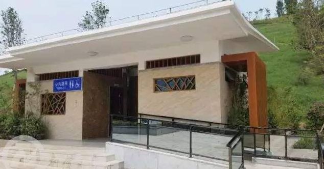公厕改造项目公厕改造项目是一个重要的城市基础设施建设项目，旨在提高公共卫生环境，提升城市形象，满足市民的基本需求。以下是一个公厕改造项目的基本概述